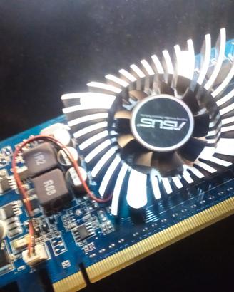 scheda video 512mb asus