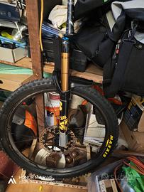 forcella Fox kashima da 38