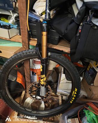 forcella Fox kashima da 38