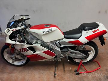 Yamaha Tzr 125 r Targa oro