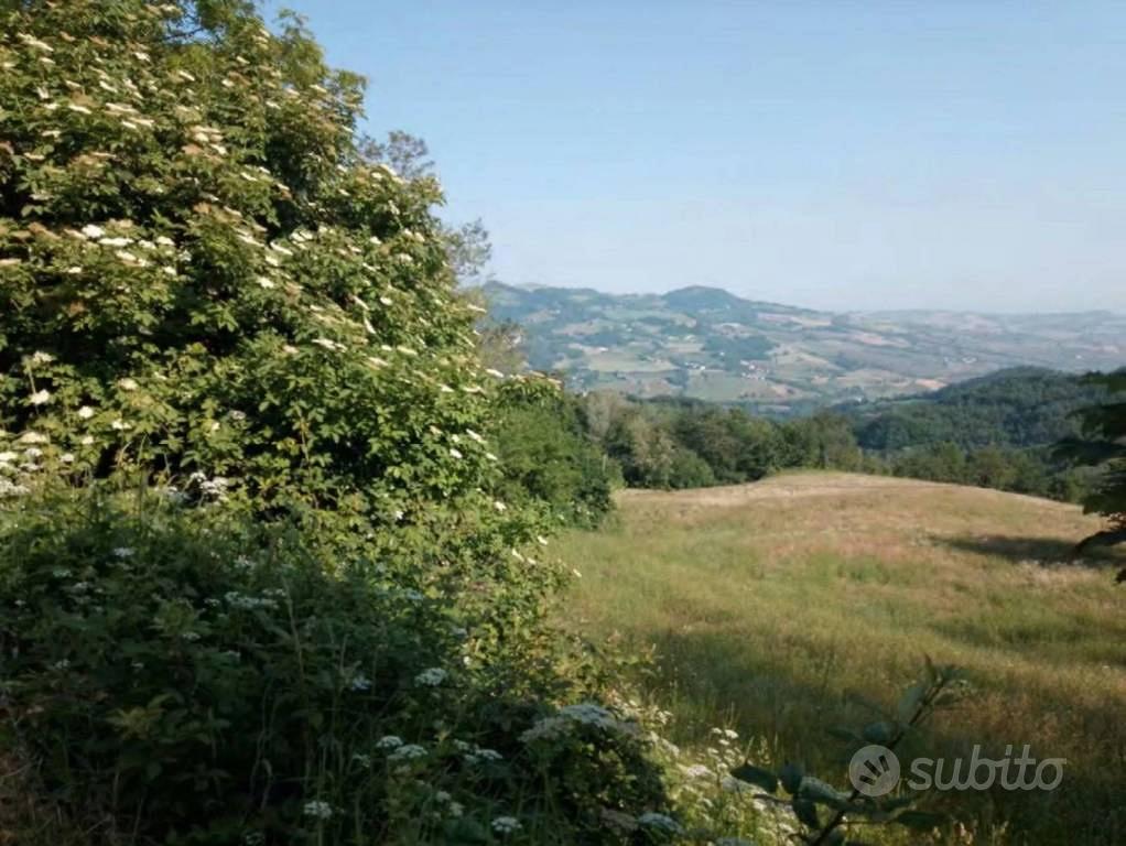 Immobile in asta di 91609 m² a Pianello Val Tidone - Vista 4