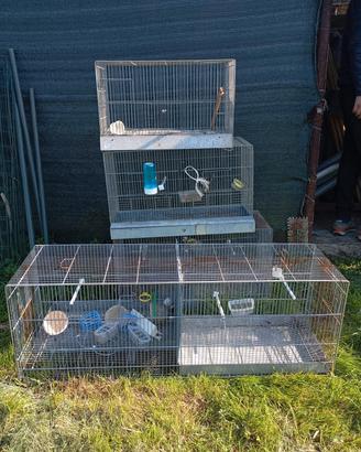 gabbie per uccellini 