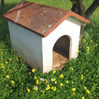 Cuccia per cani da esterno