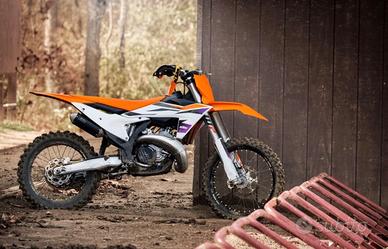 Ktm 125 sx 2024 targato