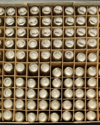 100 lampadine spia al neon E14