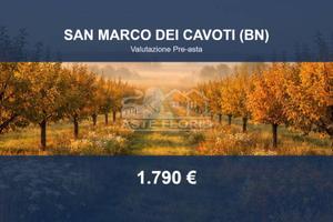 Immobile in asta di 2322 m² a San Marco dei Cavoti