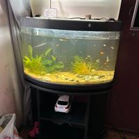 aquario completo