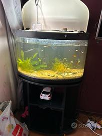 aquario completo