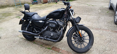 Harley davidson 883 iron