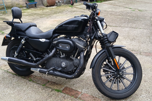 Harley davidson 883 iron