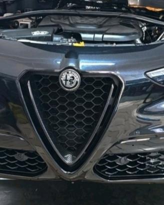Musata stelvio