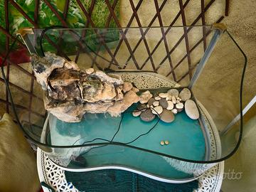 acquario tartarughe 