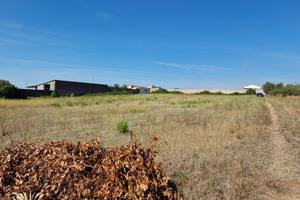 TERRENO 11.500 mq a TUSCANIA (VT) SP3 km 2.2