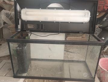 Acquario