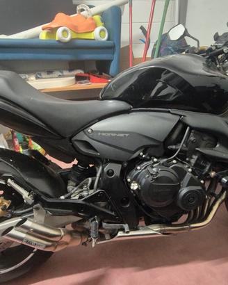 Hornet 600