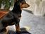 Immagine 1