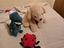 Immagine 1