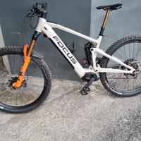 Focus sam2 6.9 milk brown 2022 tg L