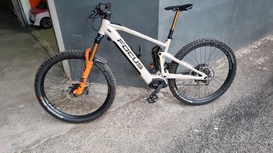 Focus sam2 6.9 milk brown 2022 tg L