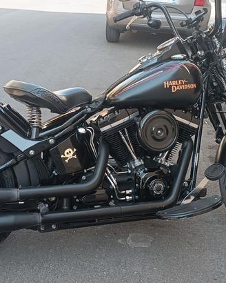 Harley Davidson cross bones