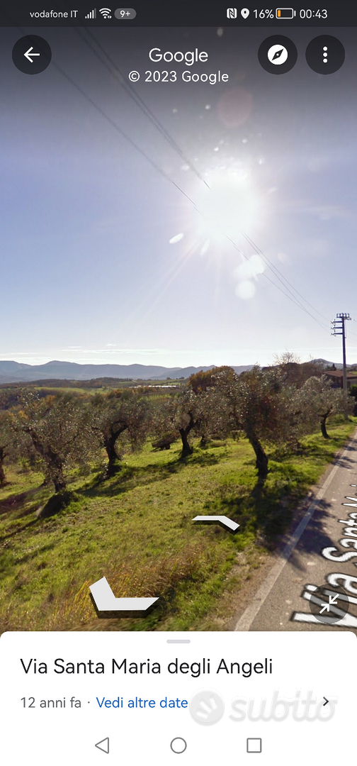 Appezzamento di terreno con ulivi - Altro