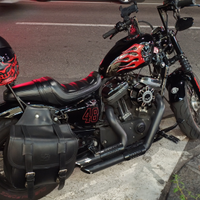 Harley Davidson sportster forty eight 48