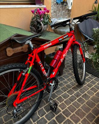 mountain bike lerun