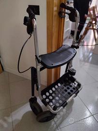 carrellino deiambulante 