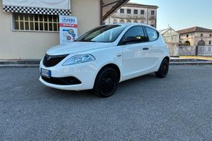 Lancia Ypsilon 1.2 69 CV Elefantino Blu 5 POSTI