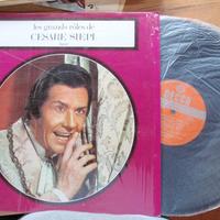 Dischi in vinile antichi