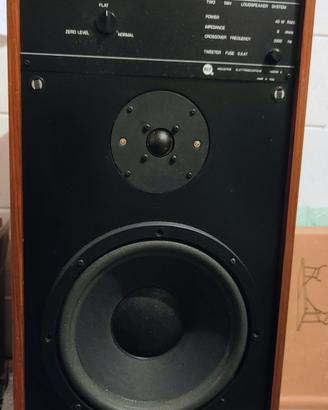 RCF BR 36. Casse acustiche 