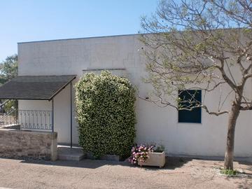 Gallipoli last minute da oggi