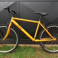 Bici bicicletta single speed