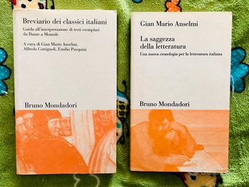 2 libri letteratura italiana Gian Mario Anselmi