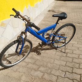 Mountain bike