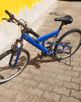 Mountain bike