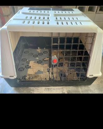 Trasportino / kennel