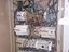 Immagine 5