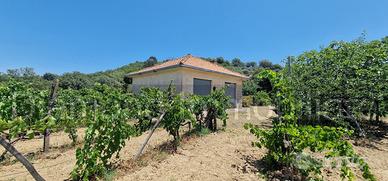 Terreno agricolo 7,5 ettari Castiglione di Sicilia