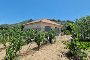 Terreno agricolo 7,5 ettari Castiglione di Sicilia