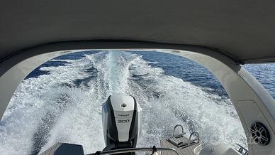 Evinrude E-TEC G2 300 V6 White  2019