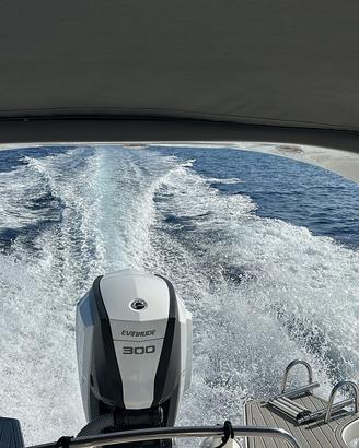 Evinrude E-TEC G2 300 V6 White  2019