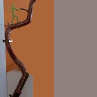 ARREDO! Scultura ramificata