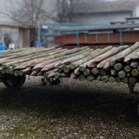 Pali in legno vigneto