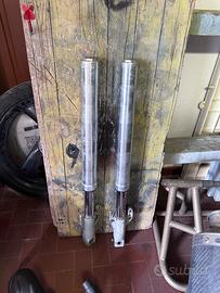 Avantreno Ducati Monster