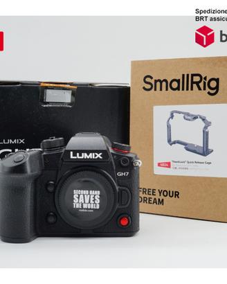 Panasonic GH7