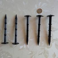 Chiodi in plastica per giardino