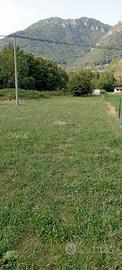 Terreno agricolo a sanfront