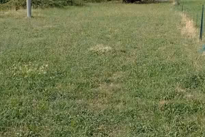 Terreno agricolo a sanfront