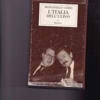 L'Italia dell'ulivo